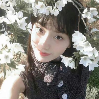 狐妖小红娘