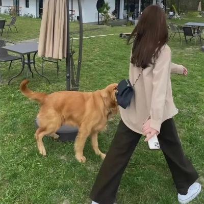 法王艳史